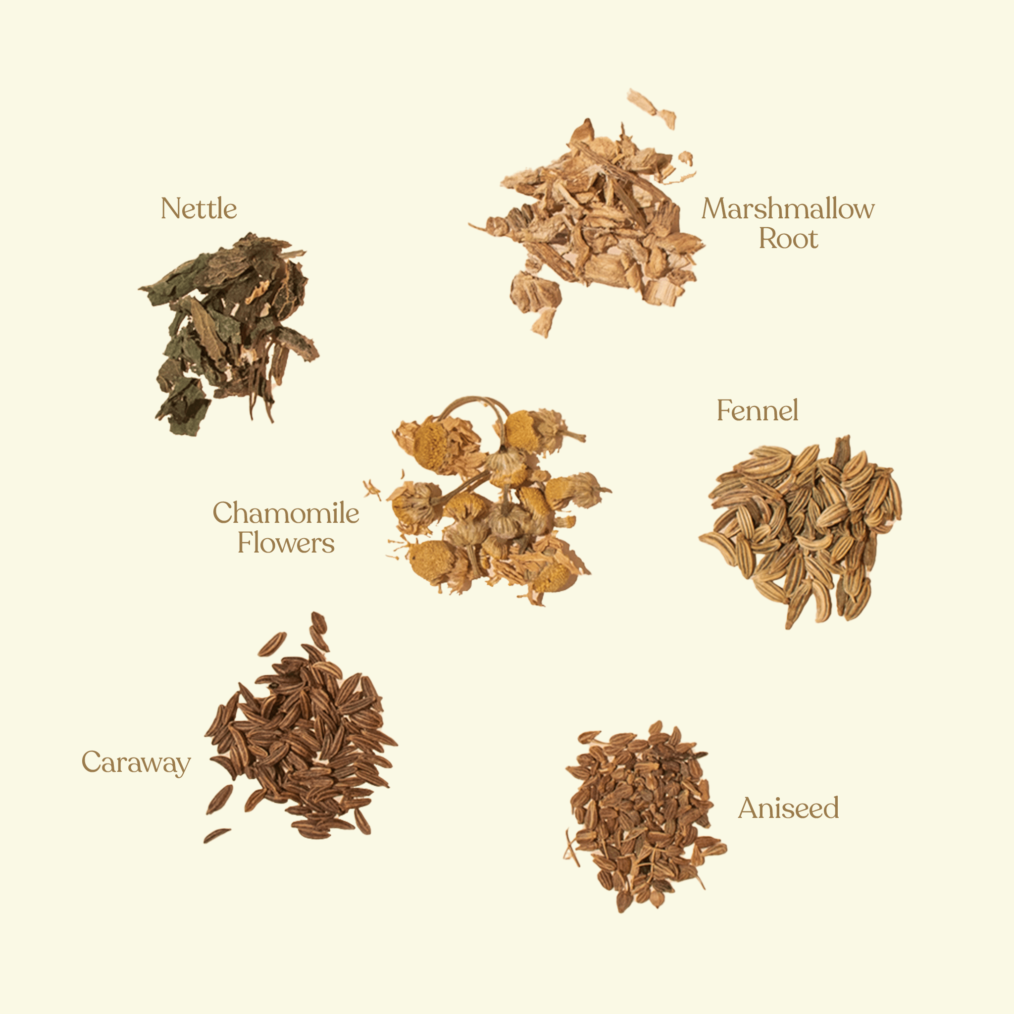 Nursing herbal tea to support breastfeeding and reduce colic symptoms - Nurtur Tea Australia