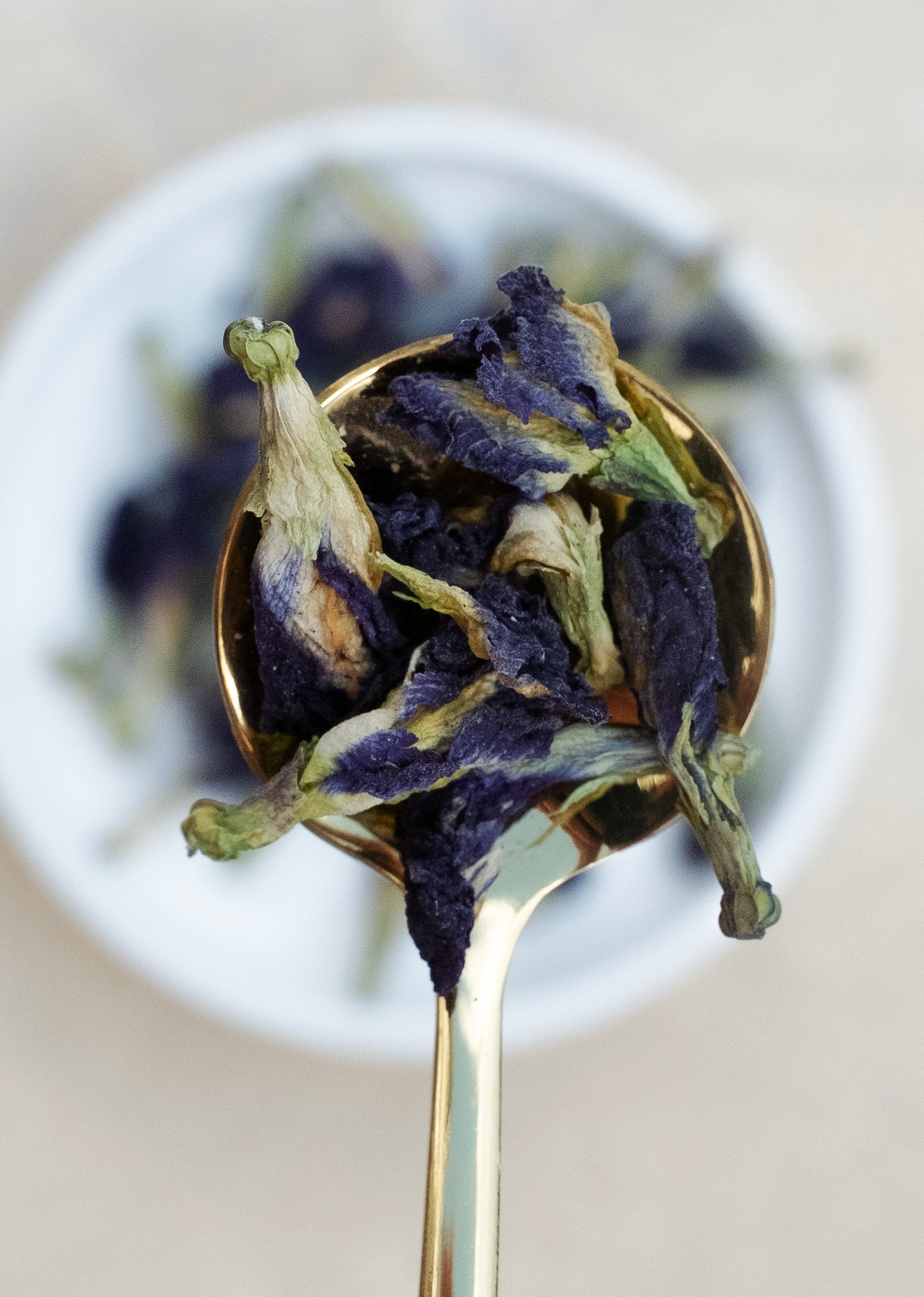 Blue Butterfly Tea Sample