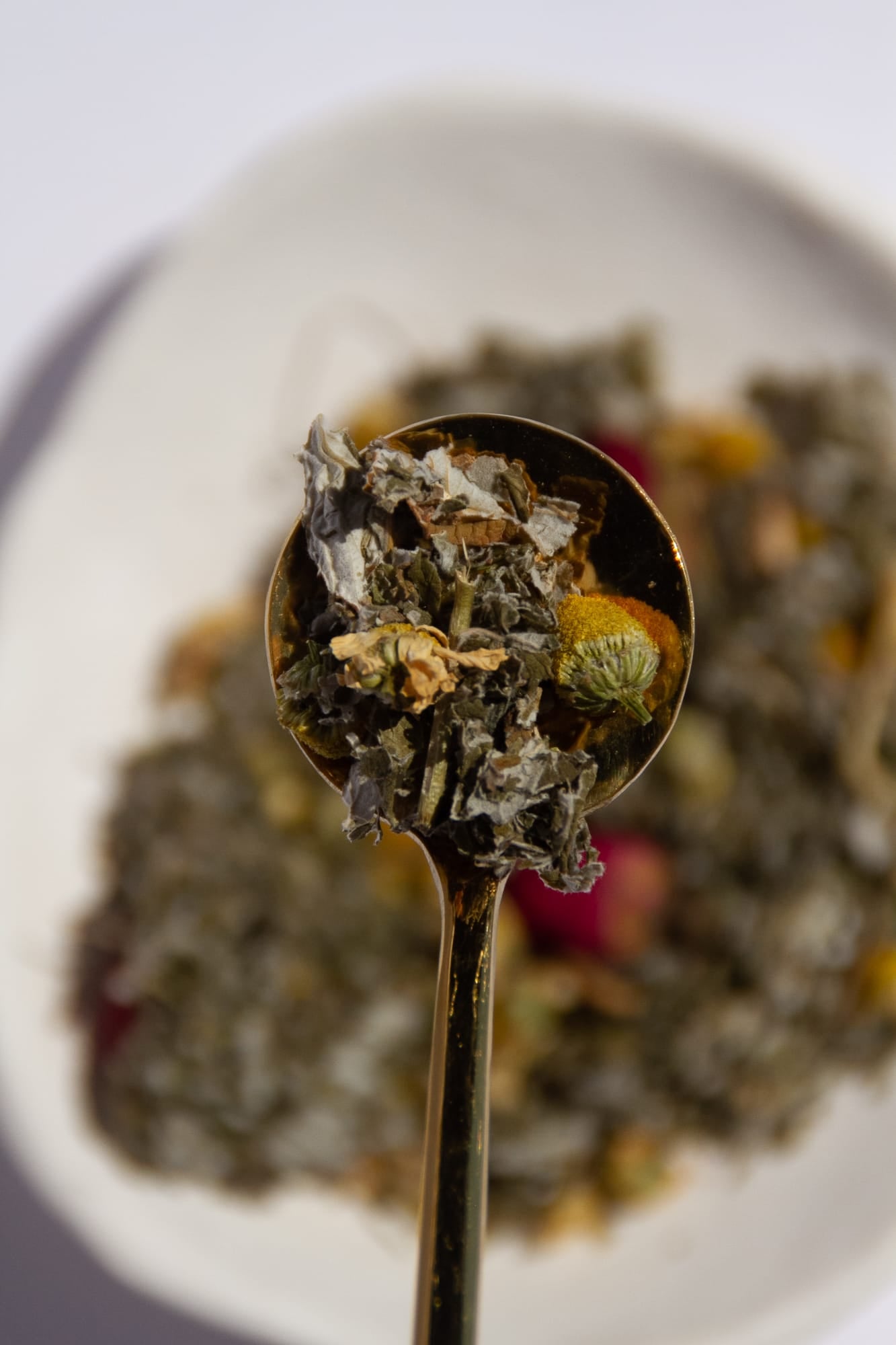 Red raspberry leaf tea sample for pregnancy and hormone balance - Nurtur Tea Australia